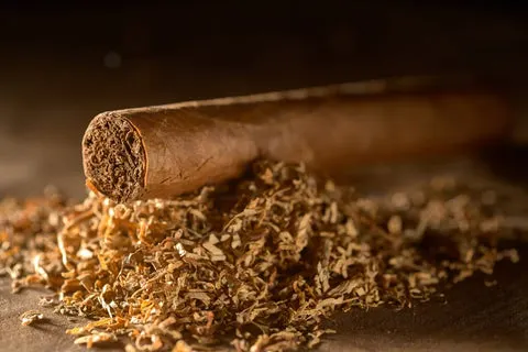Close view of a dark brown cigar wrapper